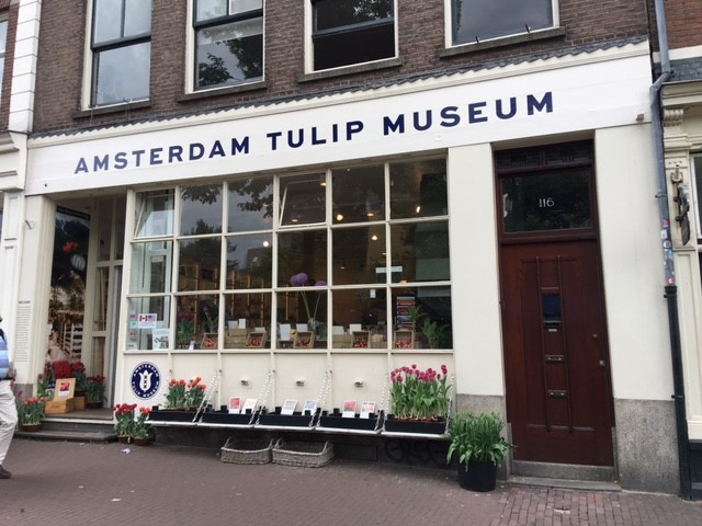 Amsterdam 10