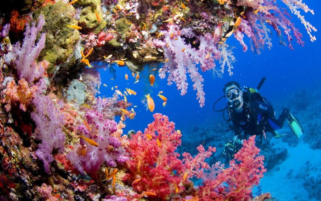Tubbataha's Coral Reefs