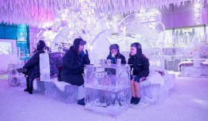 Chillout Ice Lounge
