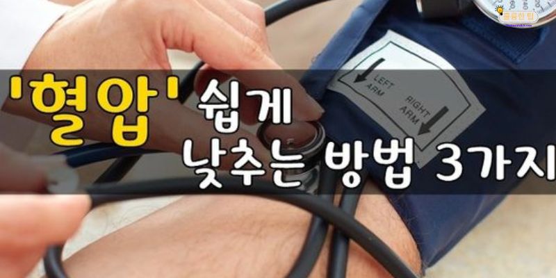 발진티푸스를 치료하는 민간요법: 자연에서 찾은 치유의 비밀